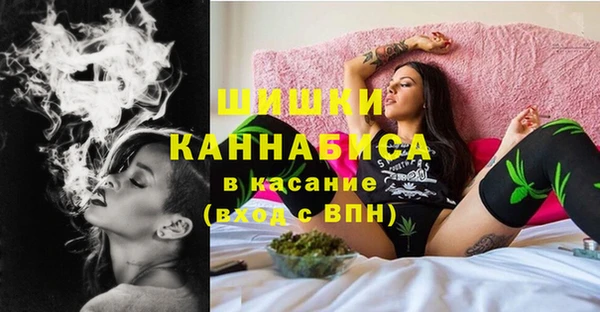 эйфоретик Болотное