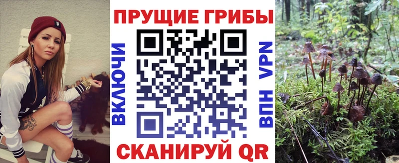 Псилоцибиновые грибы мицелий  Калининград 